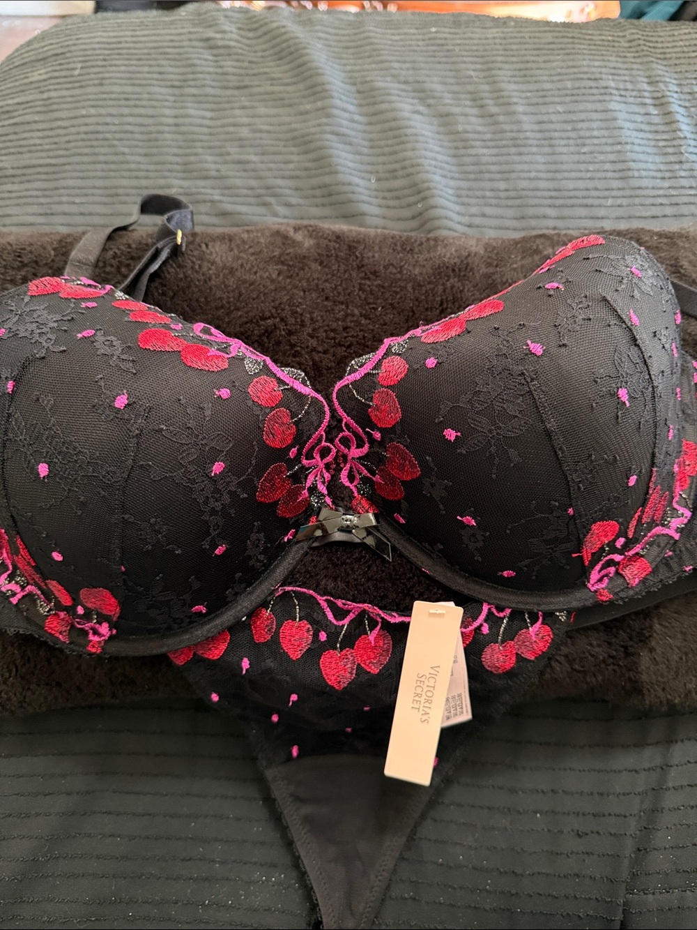 Victoria's Secret Bra & V String Panties XL with Pink and Red Floral Embroidery